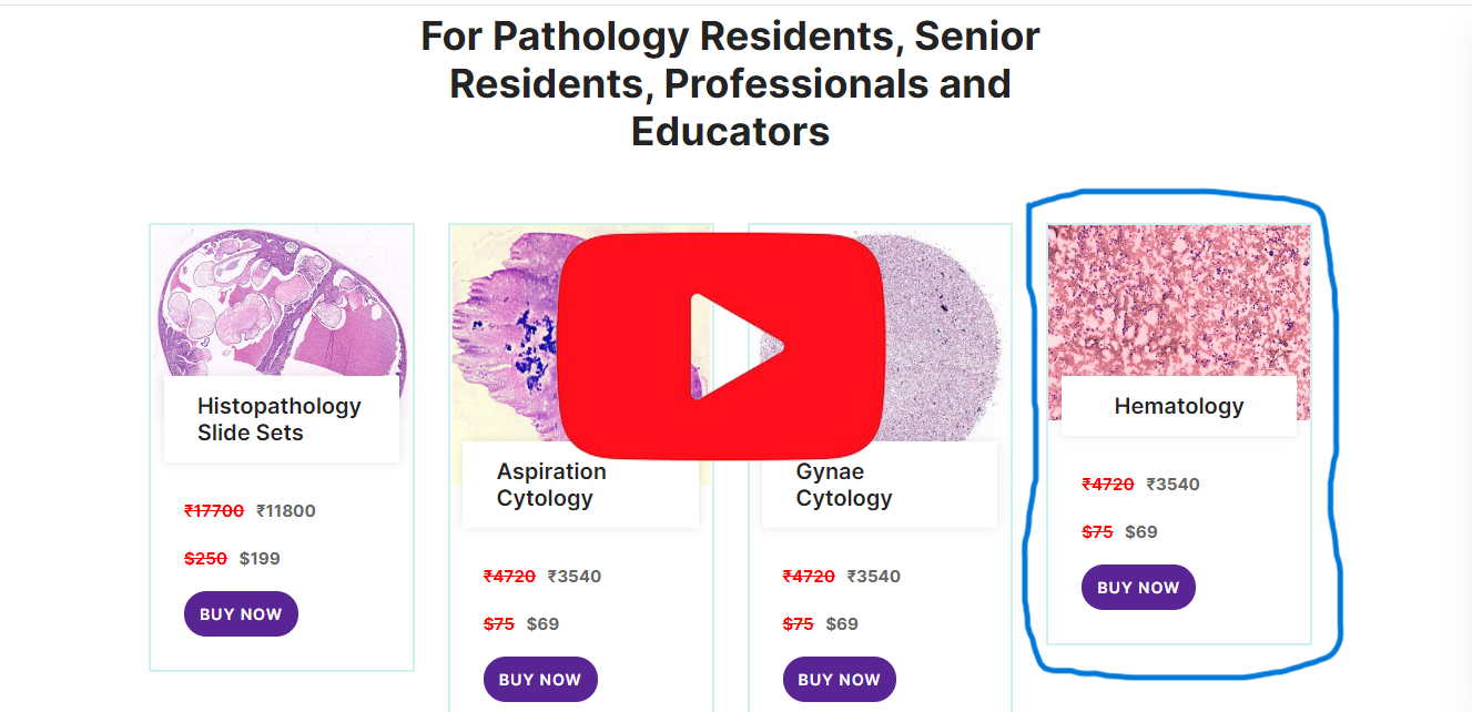 Watch Hematology Digital Slides Set (Peripheral Blood Smear & Bone Marrow Slides)